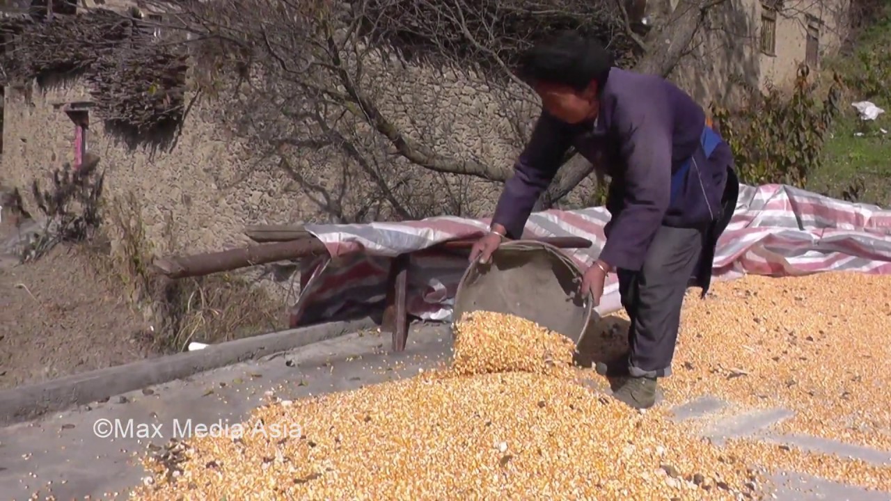 Part 1  Farmers in Zengtou Qiang Ethnic Minority China  Mountain Village Sichuan Tibetan Plateau