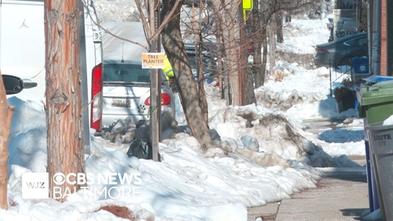 Some Baltimore residents are waiting for trash pickup amid snow pileups