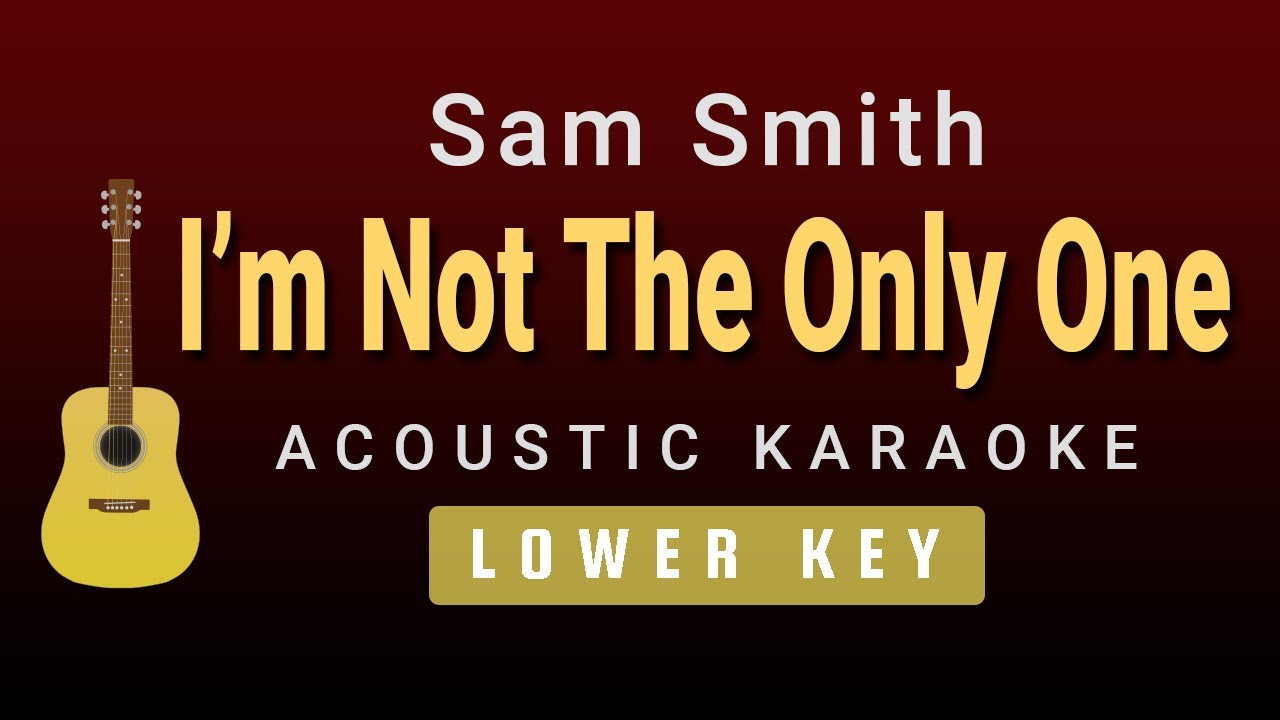 I'm Not The Only One - Sam Smith(Lower Key Acoustic Karaoke)