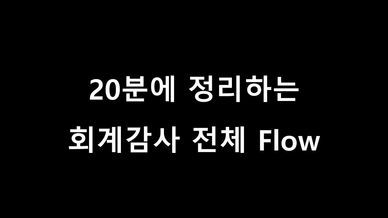 [회계감사] 20분에 정리하는 회계감사 전체 Flow