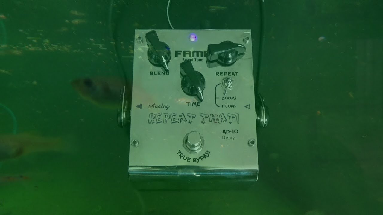 Analog budget delay demo - Biyang AD-10,Fame AD-10, Eagletone AD-8