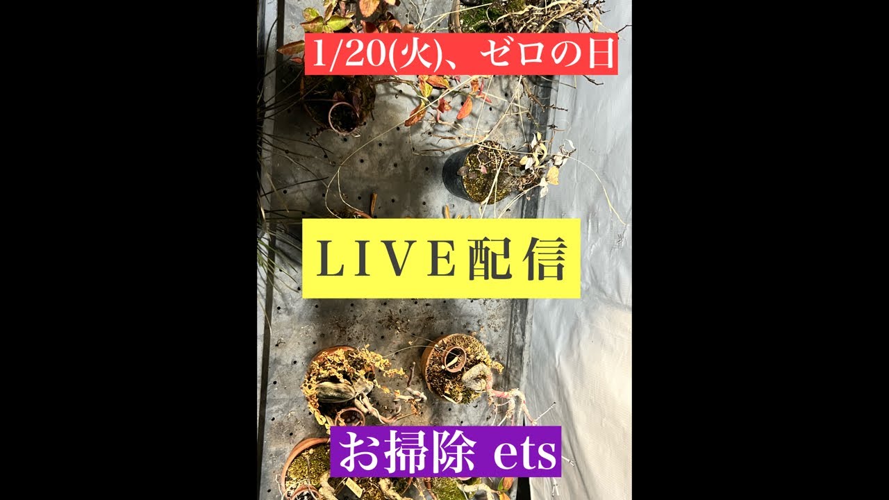 548 お掃除ets