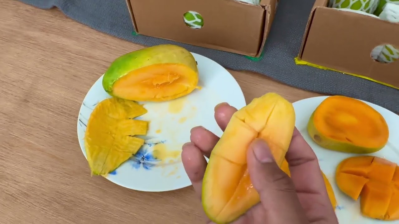 I Tried Pakistan's Top Mangoes: Chaunsa, Sindhri, and Anwar Ratol in California