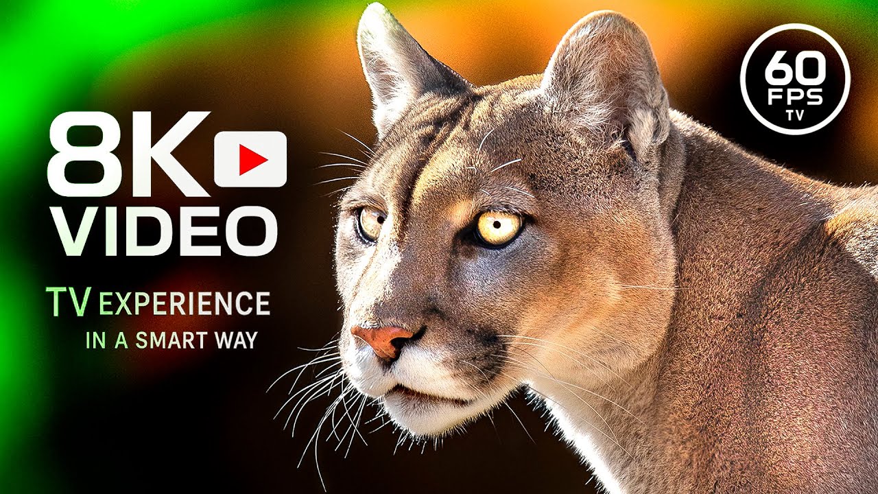 SAVAGE KINGDOM 8K 60FPS ВИДЕО ULTRA HD - 8K TV и 4K TV Животные и дикая природа #8K