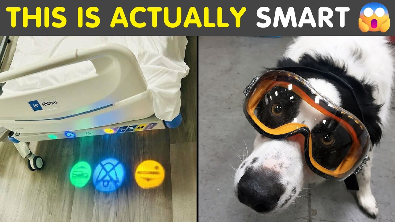 Smart People Solved Everyday Problems Brilliantly (New Pics)