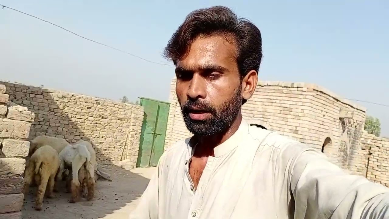 Mera piyara form house🥰 || Village culture || Shano village life