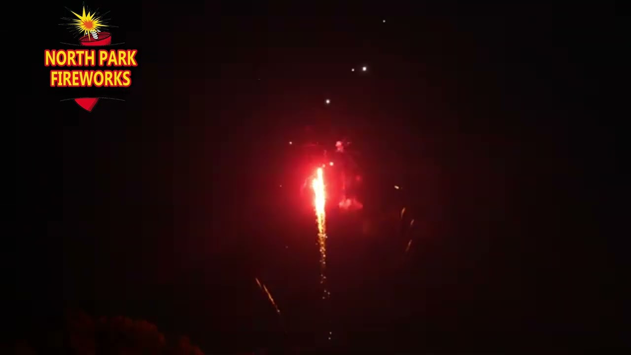 HAVOC 200 shots by Anarchy Fireworks | NORTH PARK FIREWORKS 