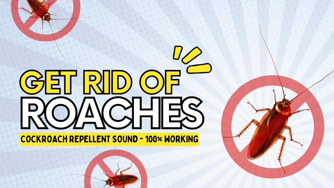 11-Hour Ultrasonic Cockroach Repellent &ndash; Silent, Powerful Pest Control Sound