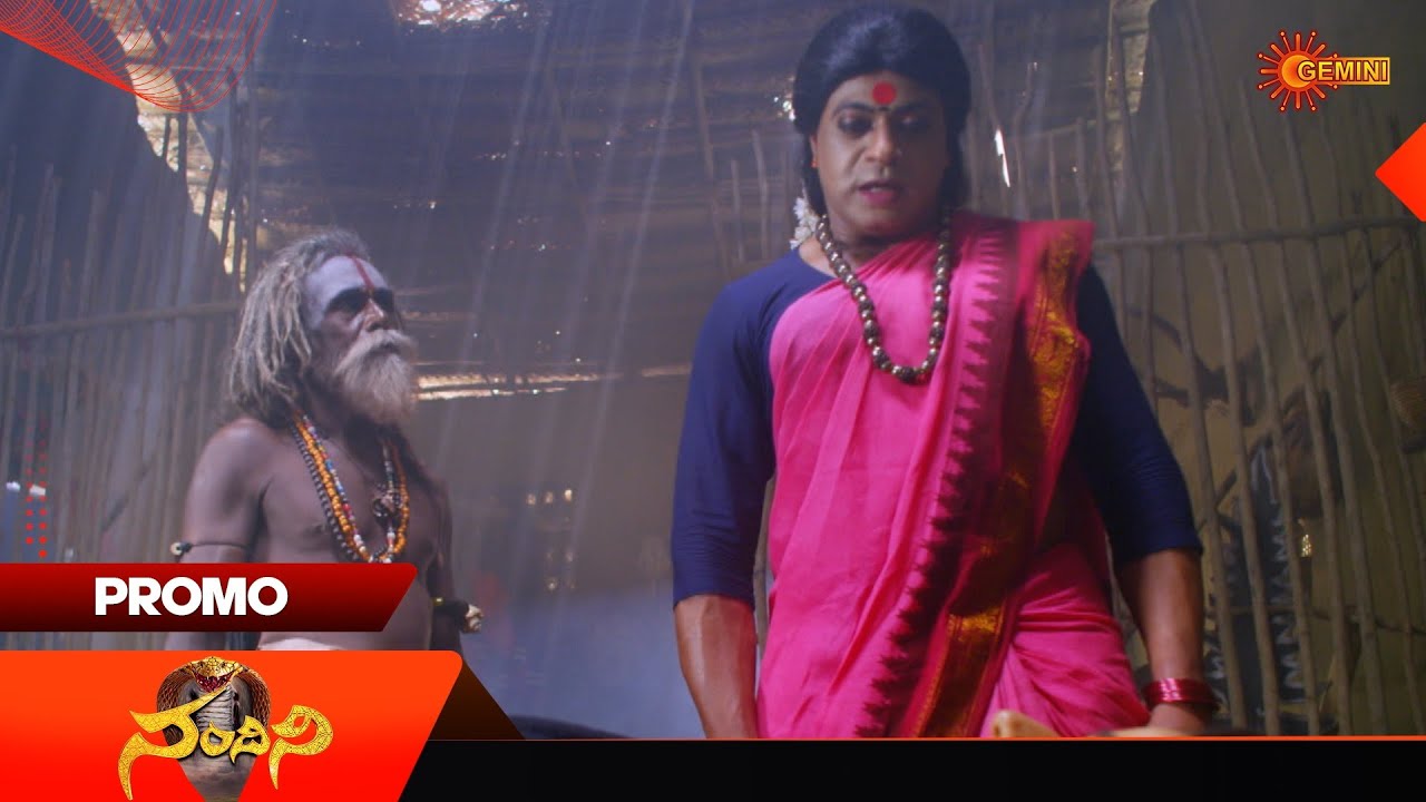 Nandini- Promo | 05 Dec 2025 | Telugu Serial | Gemini TV