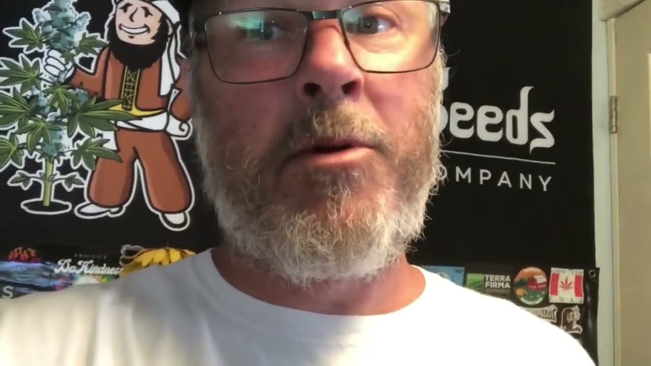 Waiting on seeds to pop up  #gsigrowoff #growstrongcup Update #2 Hosted by Grow Strong Industries