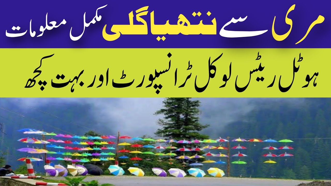Murree To Nathia Gali By Road Journey | Murree Nathia Gali Road | 