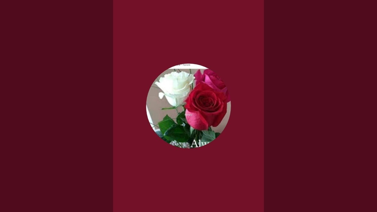 sayed channel  is live