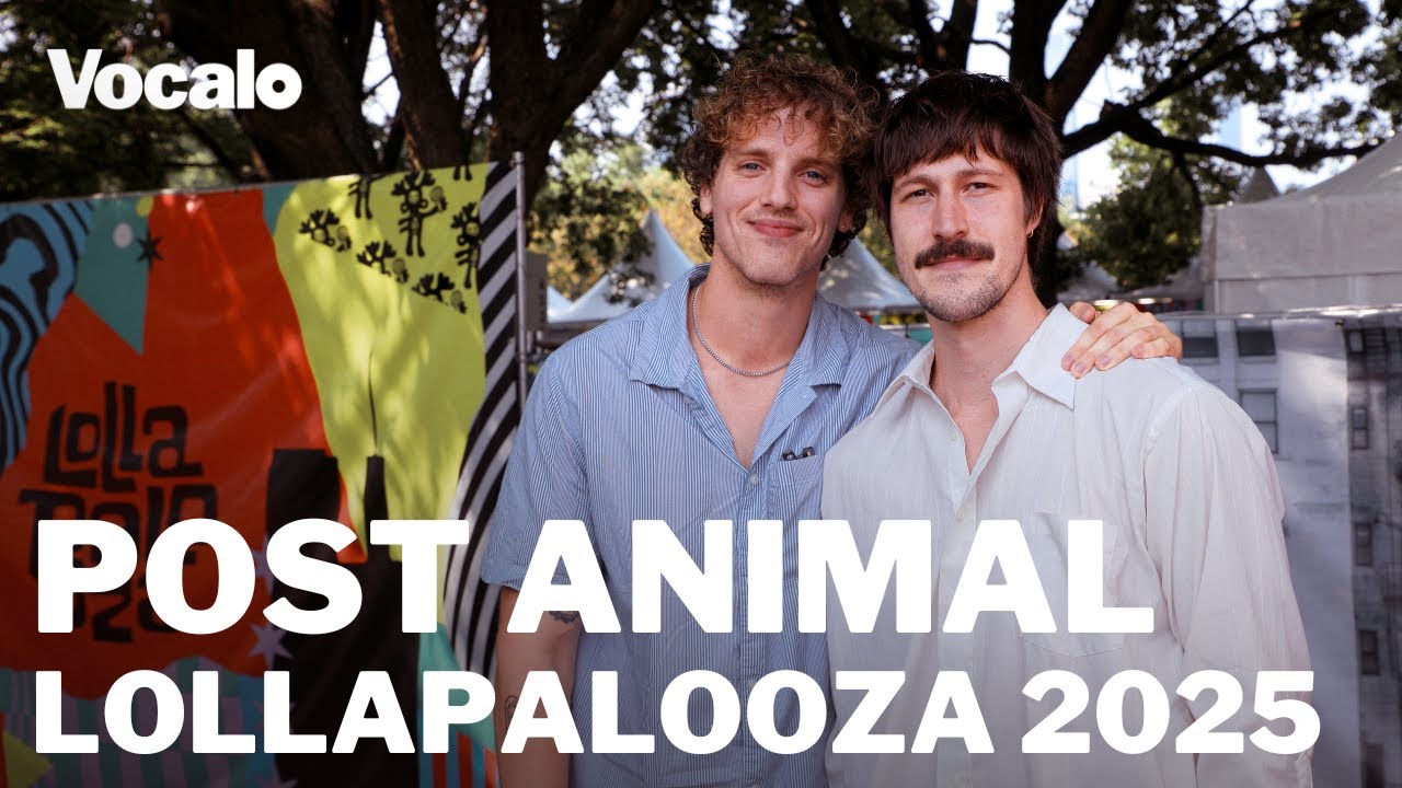 Chicago psych rock band Post Animal enters a new era with 