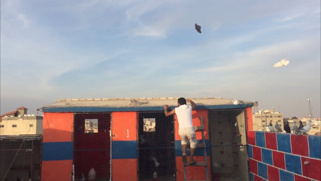 حمام كش
