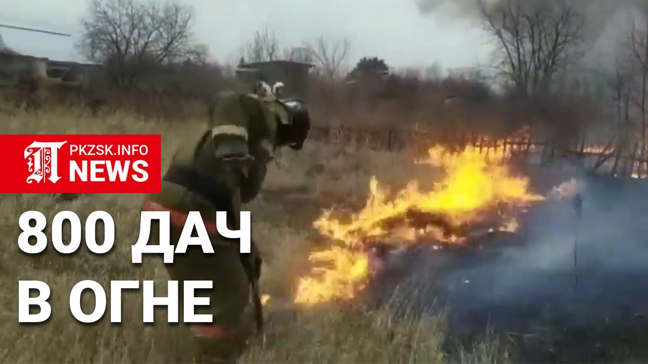 В Петропавловске во время крупного пожара пострадало 800 дачных участков