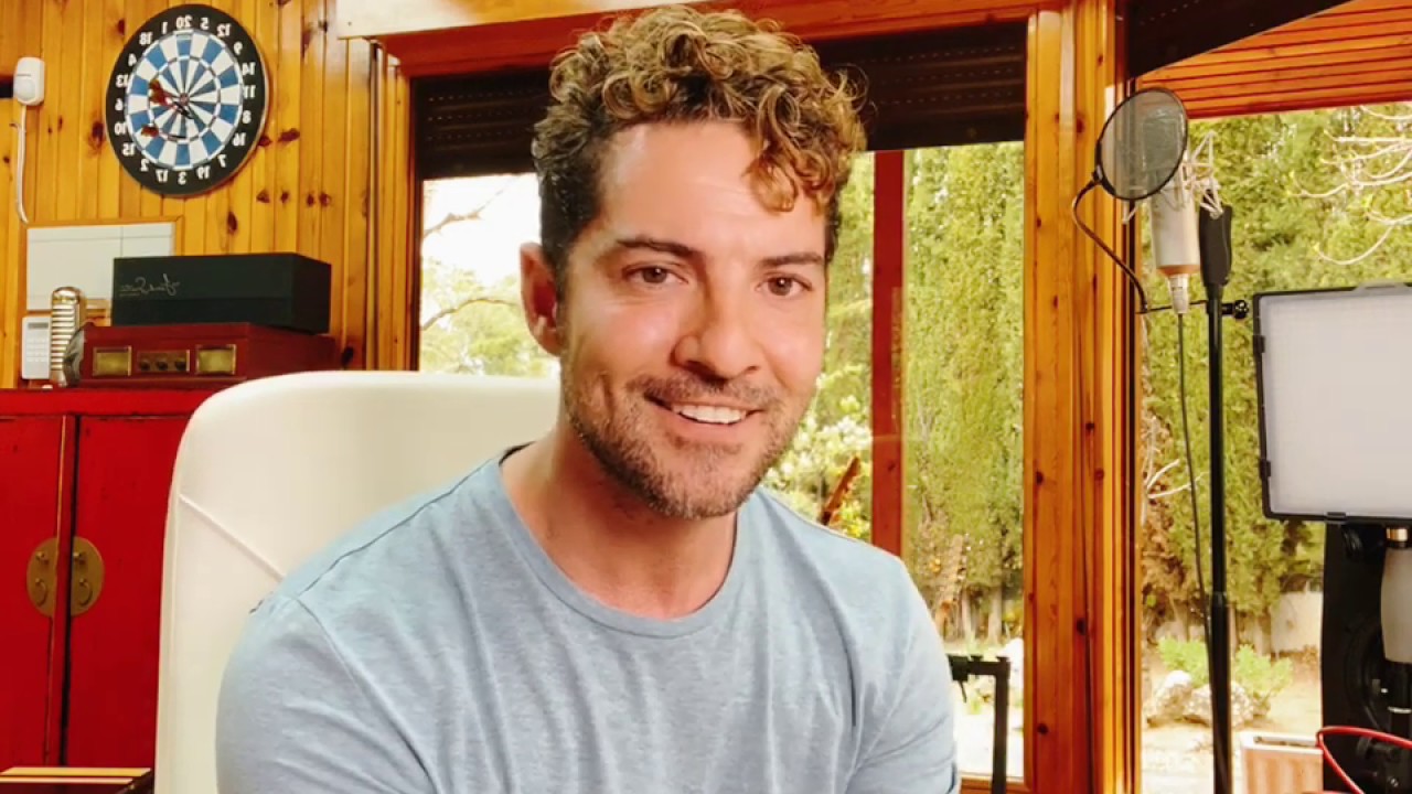 David Bisbal. Me enamoré de ti.