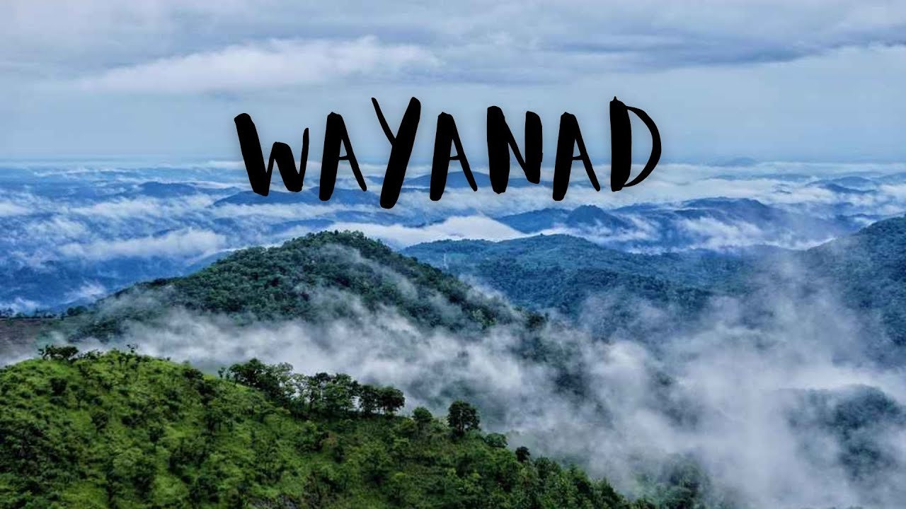 Wayanad Trip Vlog | New Year Travel | Episode 1 | First Day Journey