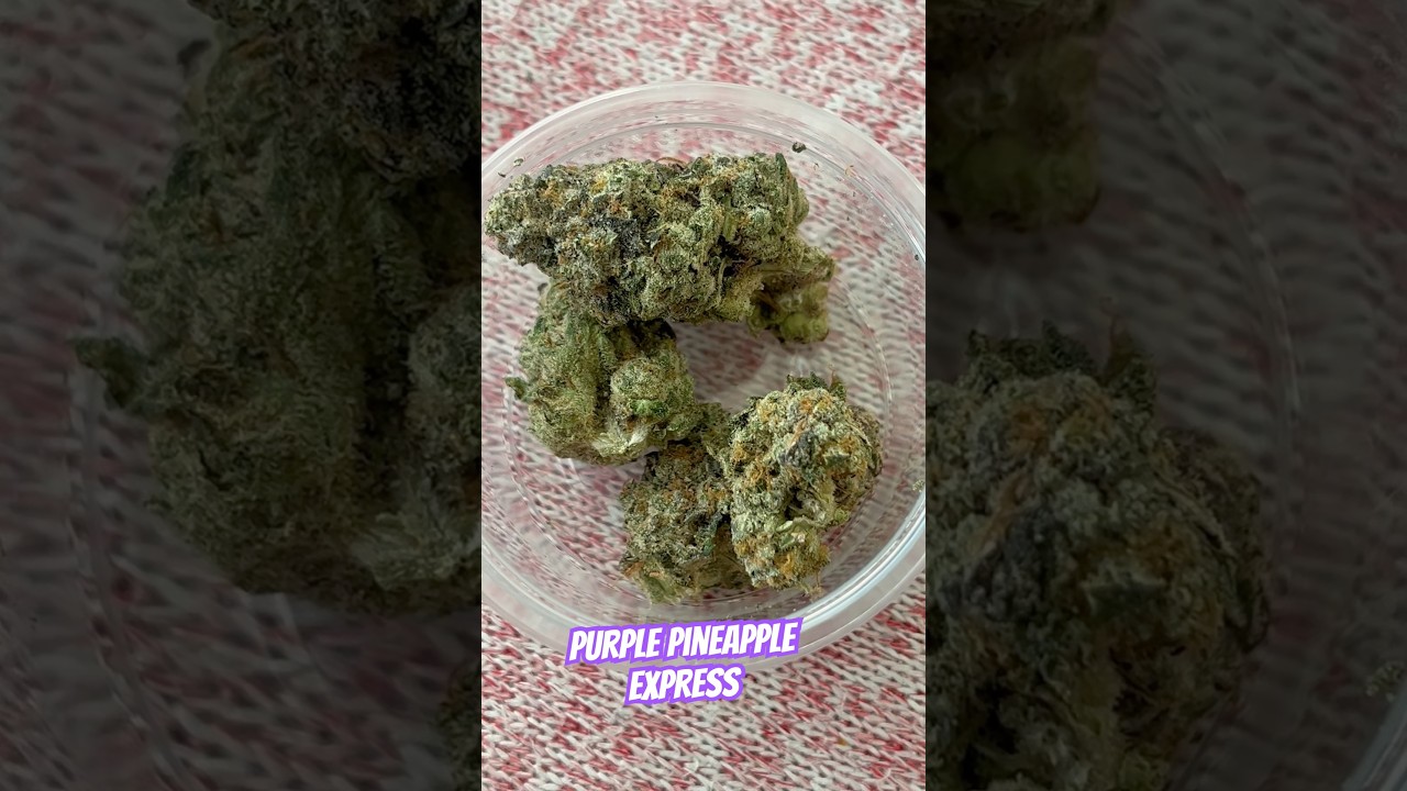 Purple Pineapple Express Strain review