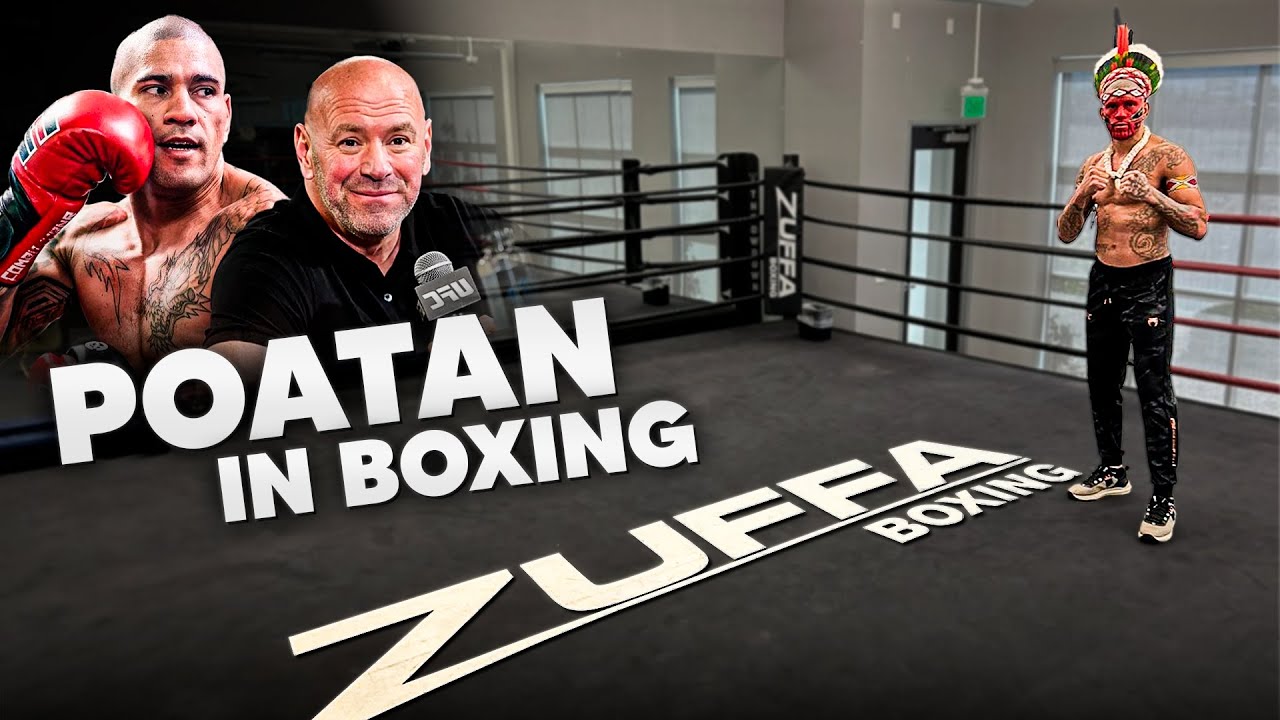 Alex Pereira no Boxe - A HORA &Eacute; AGORA!?