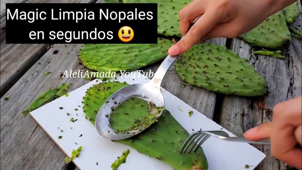 herramienta casera para limpiar nopales super rápido | limpiador de nopales casero