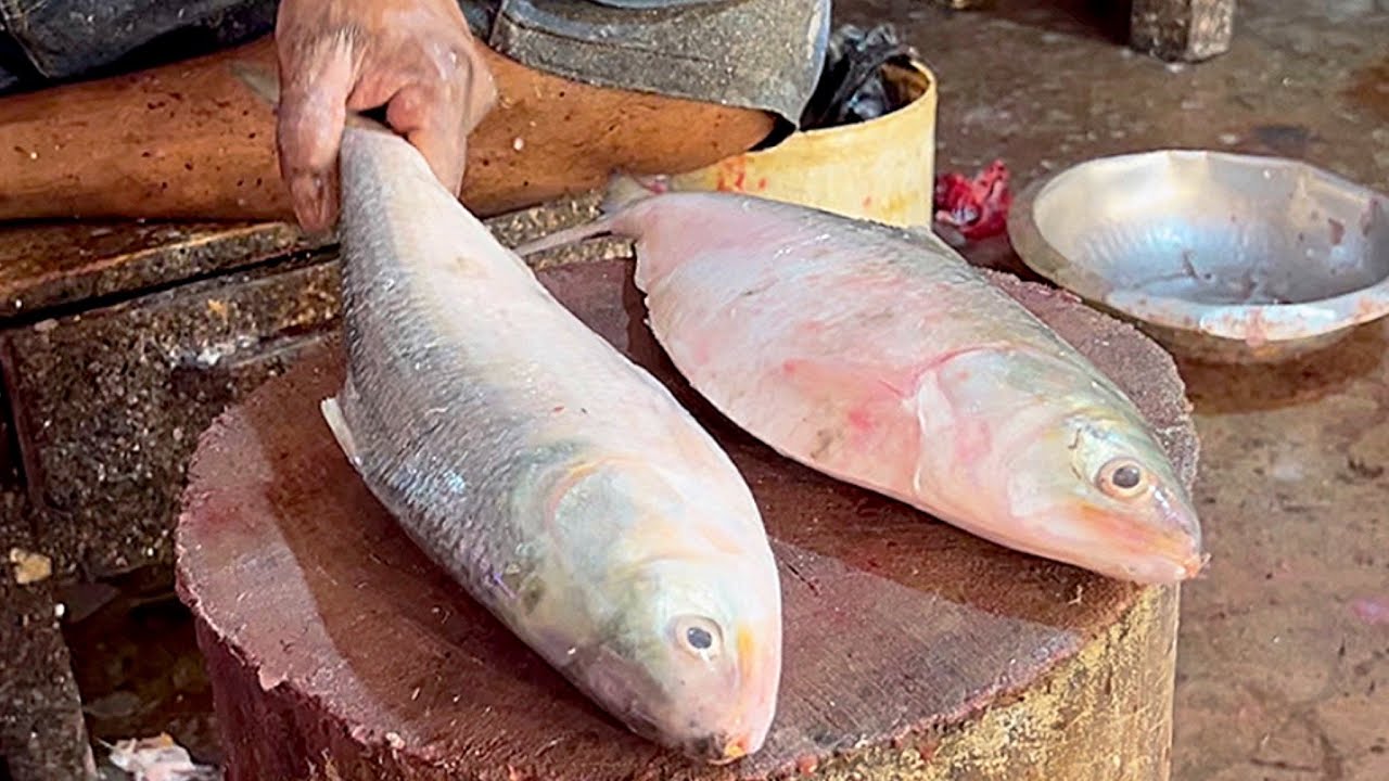 Incredible Cutting Skills | Hilsa & Snapper Fish Cutting In Fish Market