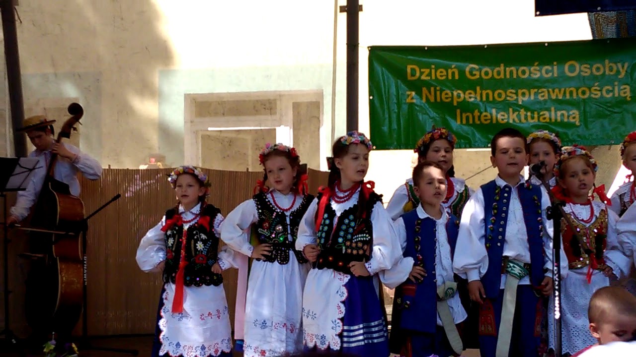 Pasała wołki na Bukowinie - Świdnik