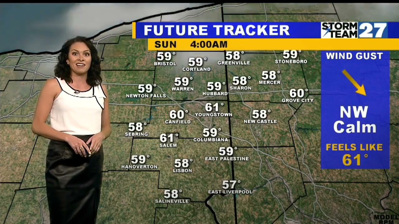 Alexis leather skirt 2