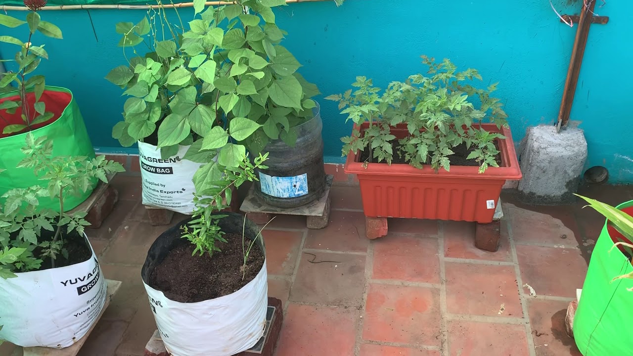 Terrace garden cleaning