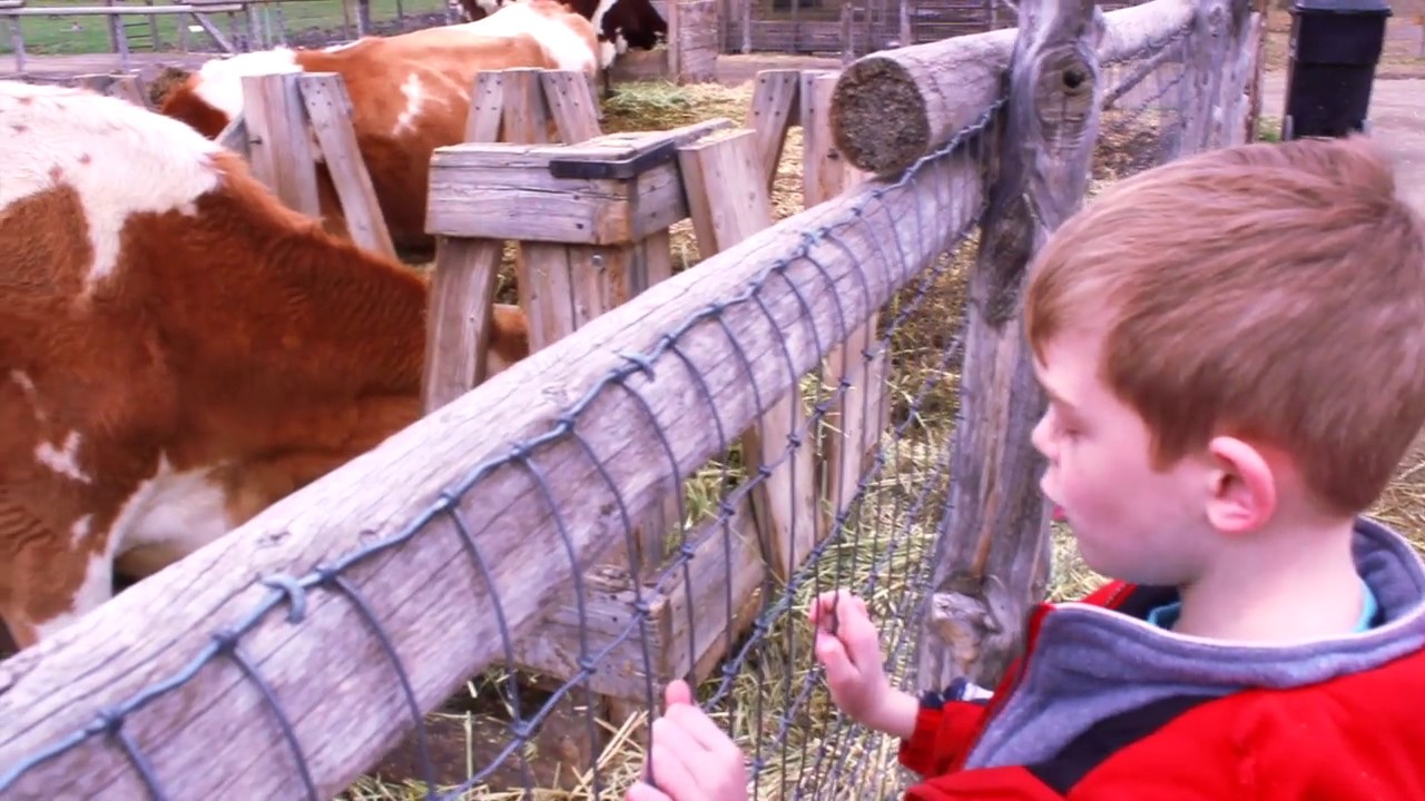 BEST FAMILY PARKS IN SALT LAKE | Historic Wheeler Farm