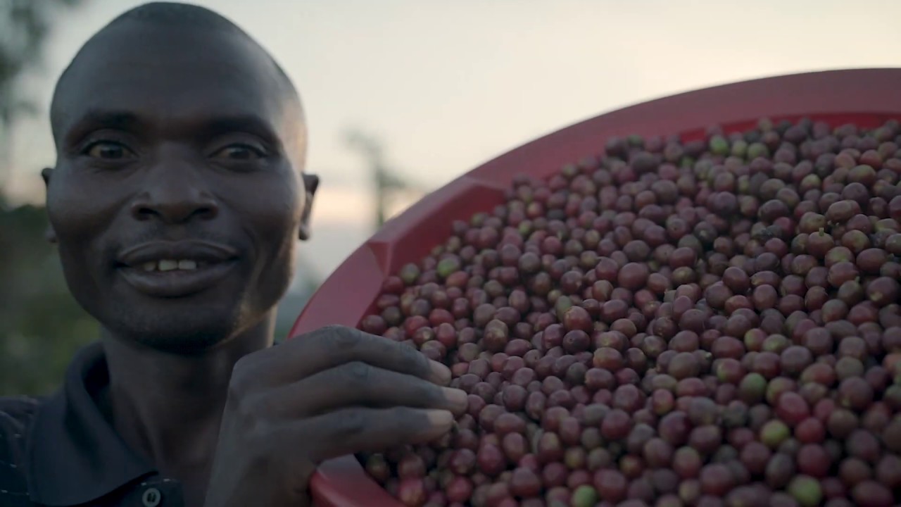 From Bean to Cup: Tracing Rwandan Coffee