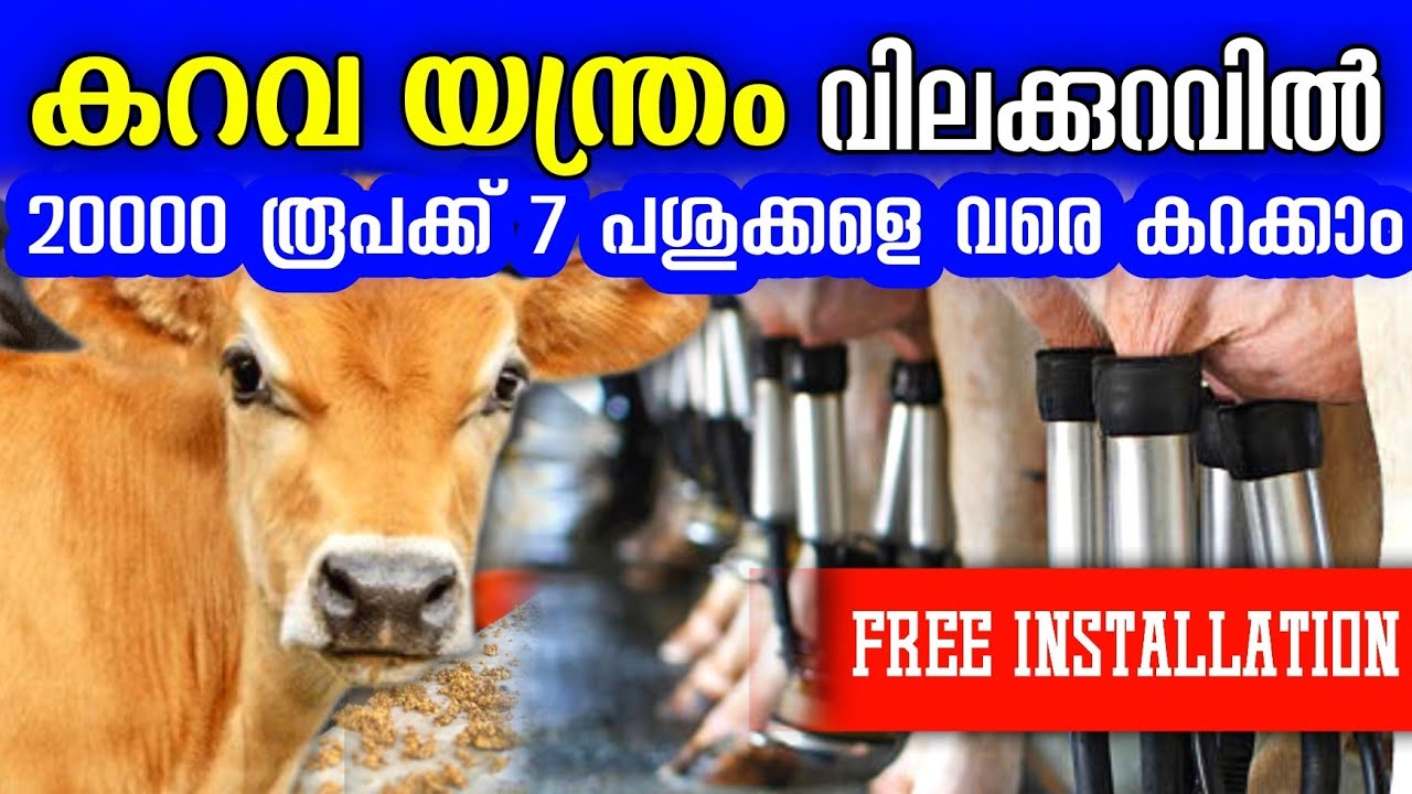 20000 രൂപക്ക് 7 പശുക്കളെ കറക്കാം, കറവ യന്ത്രങ്ങൾ വൻ വിലക്കുറവിൽ | milking machine 
