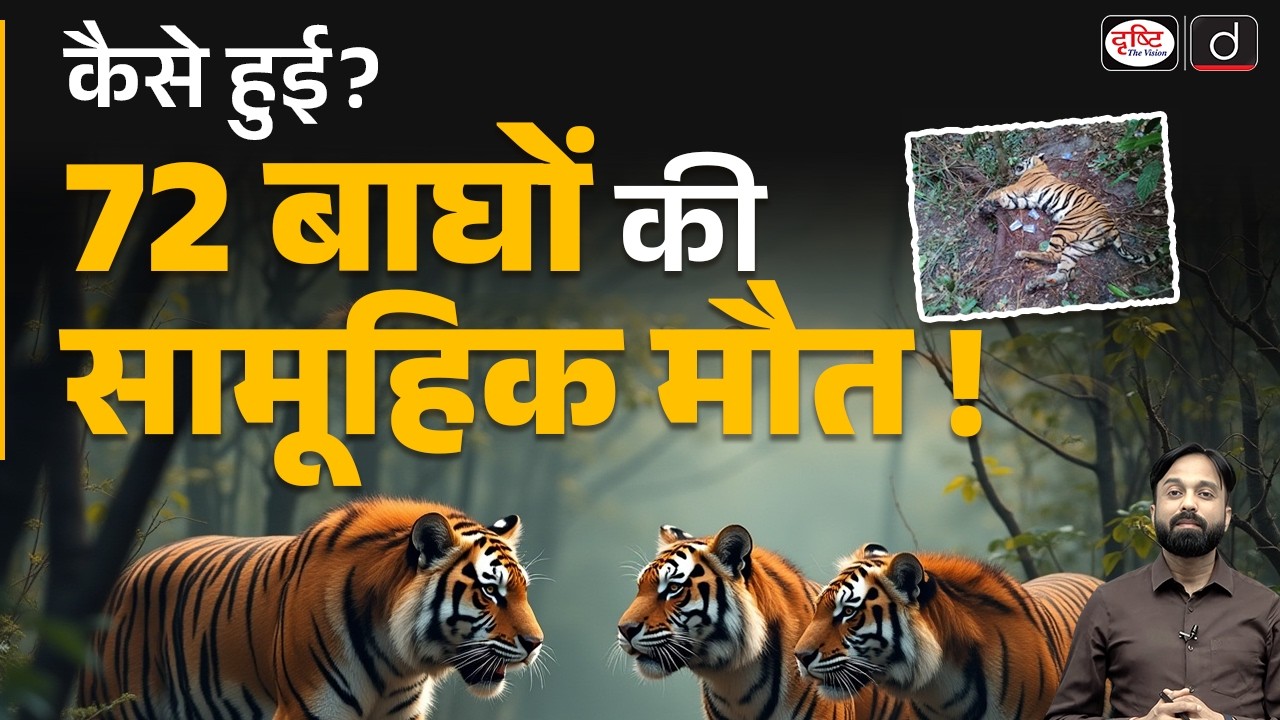 How Did 72 Tigers Die in Thailand? | Mass Death Explained | Current News | Drishti IAS