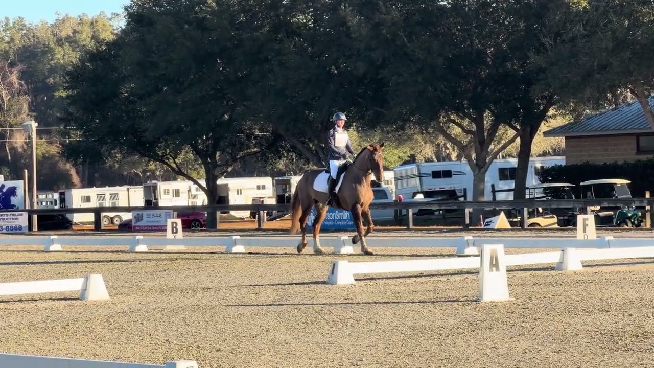 George Dressage Ocala Winter 1
