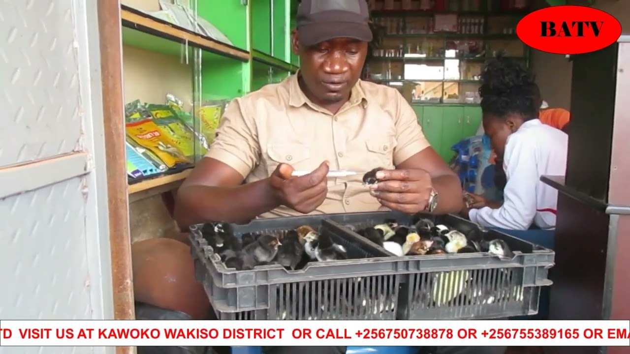 MANYA OKUGEMA ENKOKO