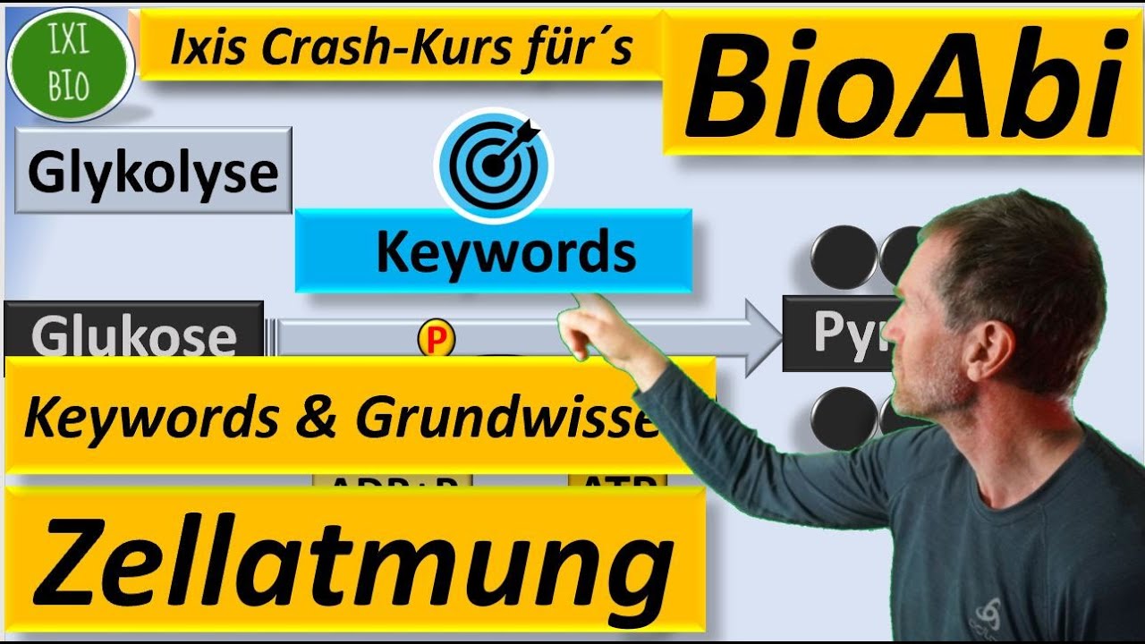 Zellatmung Keywords und Grundwissen