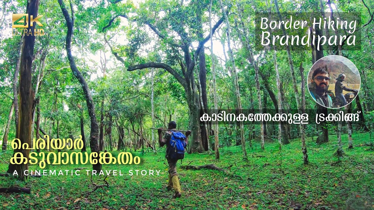 Periyar Tiger Reserve | Border Hiking | Brandipara Forest Trekking