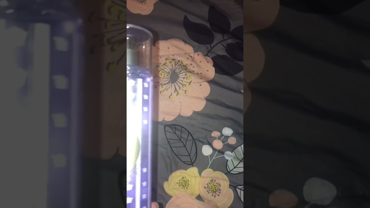 WHAT WE BATHING WITH TONIGHT CHYLE 🚿 #shower #trending #bbw