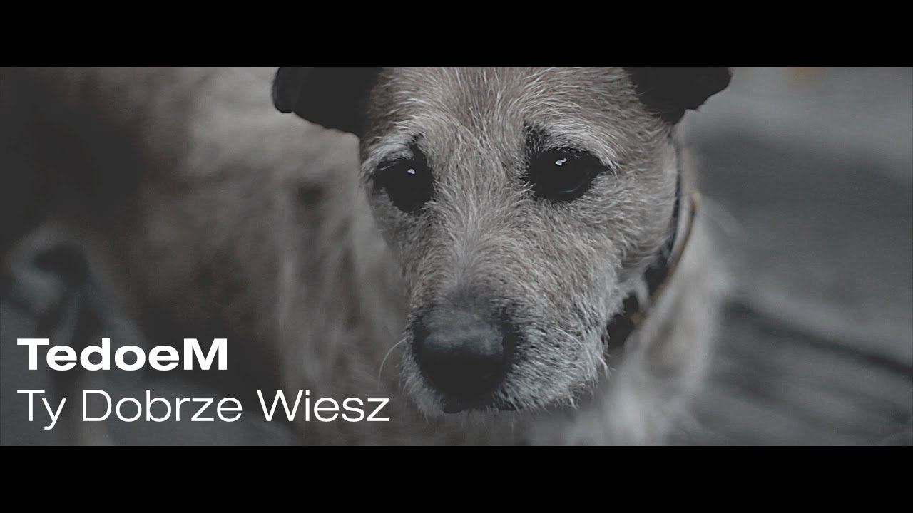 TedoeM - Ty Dobrze Wiesz