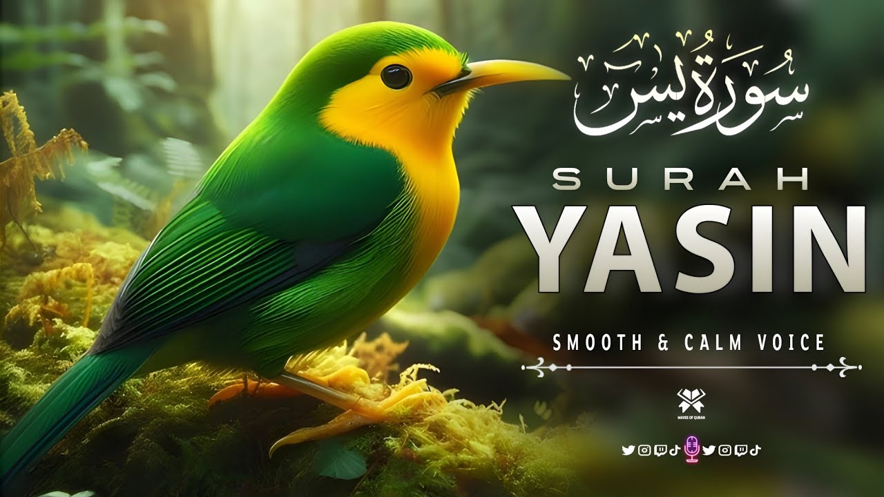 Surah Yaseen(Yasin) | Soothing Voice By Ala'a Aqel | Quran For Rezq and Barakah | waves of Quran 