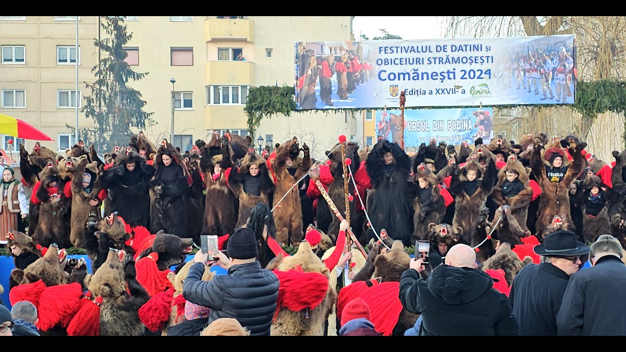 Ursul Din Podină - Ursul Lui Dima - Festivalul De Datini Și Obiceiuri Strămoșești Comanesti 2024