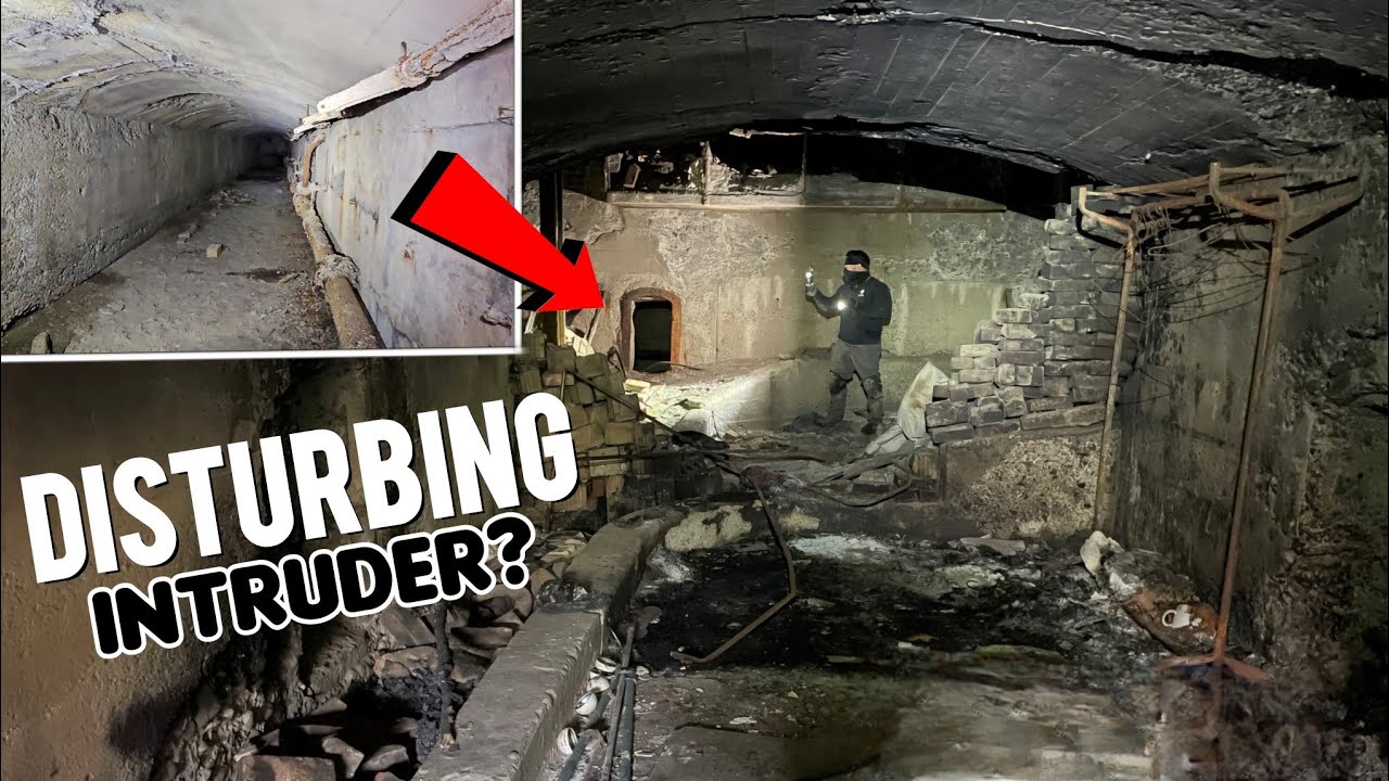 Tunnel Behind Basement Wall Contains Something ALARMING & Unwelcome