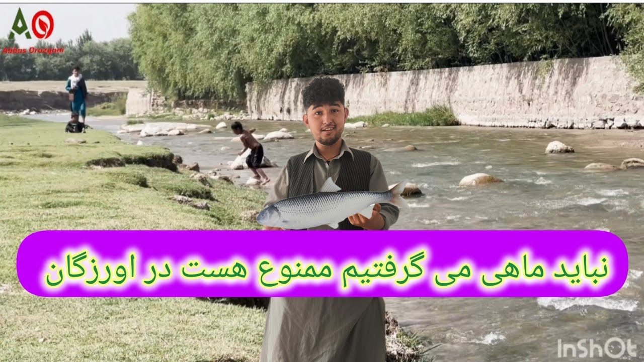 ما نباید ماهی می‌گرفتیم  امارات اسلامی در اورزگان ممنوع کرده بود