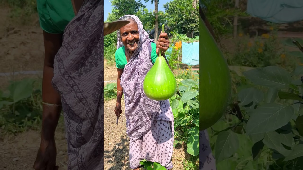 Bottle Gourd Curry with Fish Head | Traditional Bengali Dish #shorts #villagefood #cooking #ytshorts