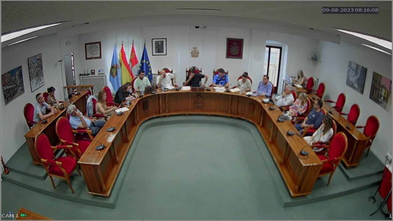 PLENO ORDINARIO 29/01/2026