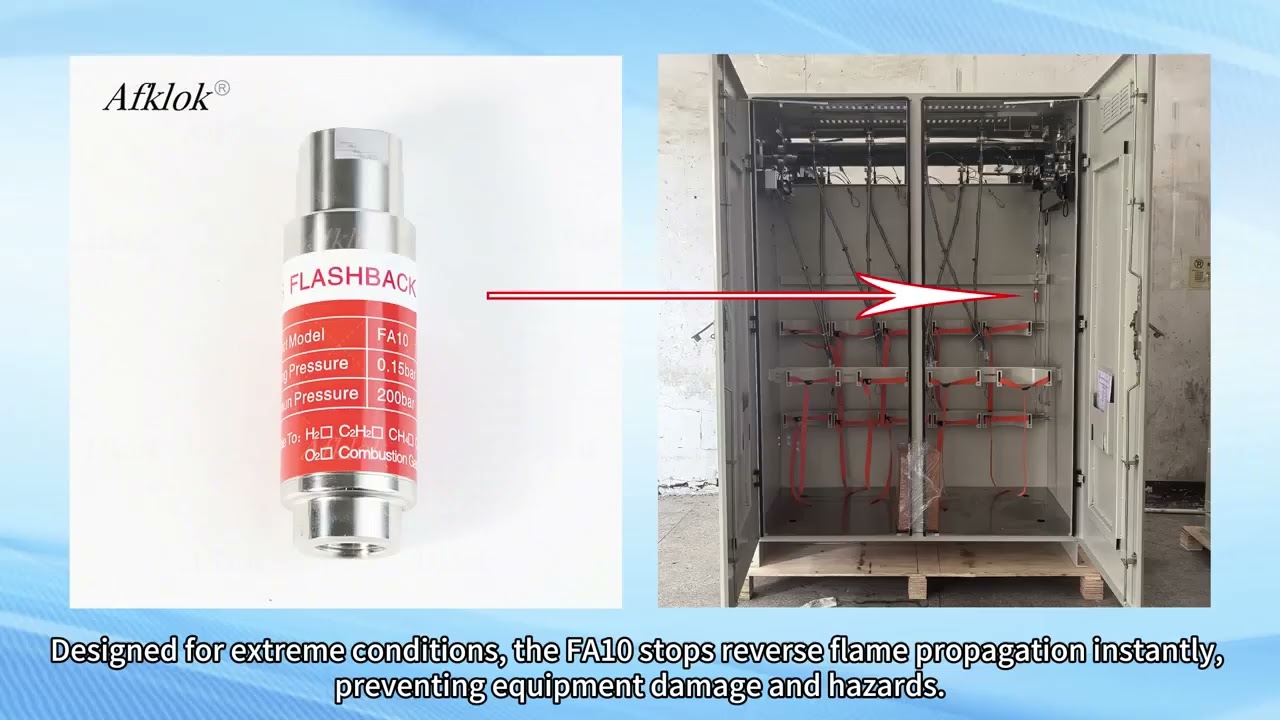 FA10 High-Pressure Gas Regulator