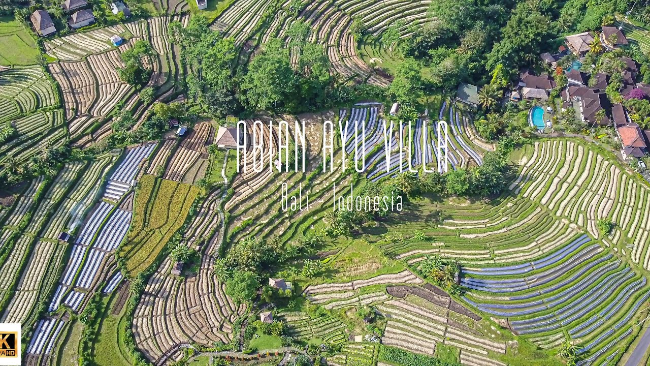 🇮🇩 4K drone video of the Abian Ayu Villa and rice fields, Bali, Indonesia.