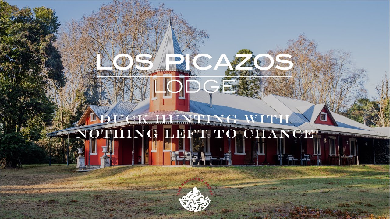 Los Picazos - Argentina’s premier small group duck hunt