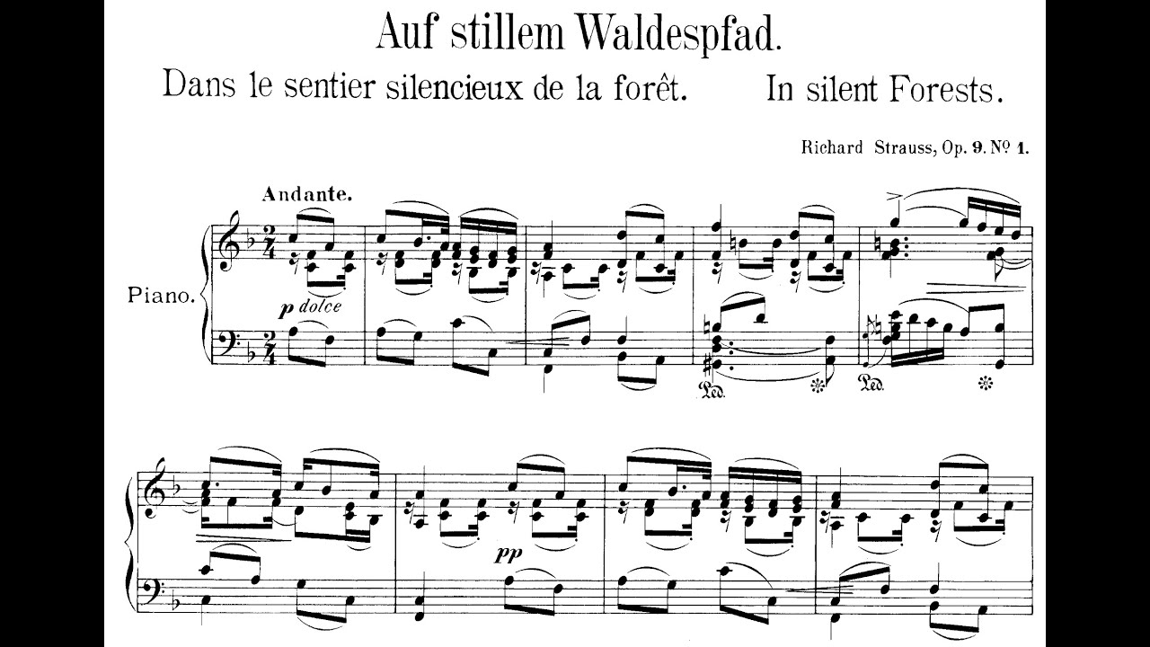Richard Strauss - Piano Music - In Silent Forests (sheet Music) Alex Alguacil, piano