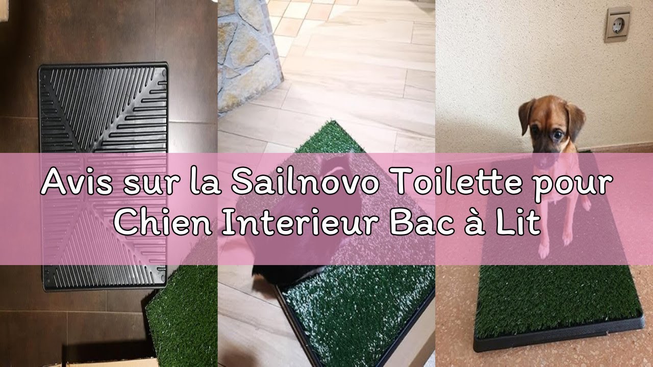 Avis sur la Sailnovo Toilette pour Chien Interieur Bac à Litière Intérieur Domestiques Tapis d'herbe
