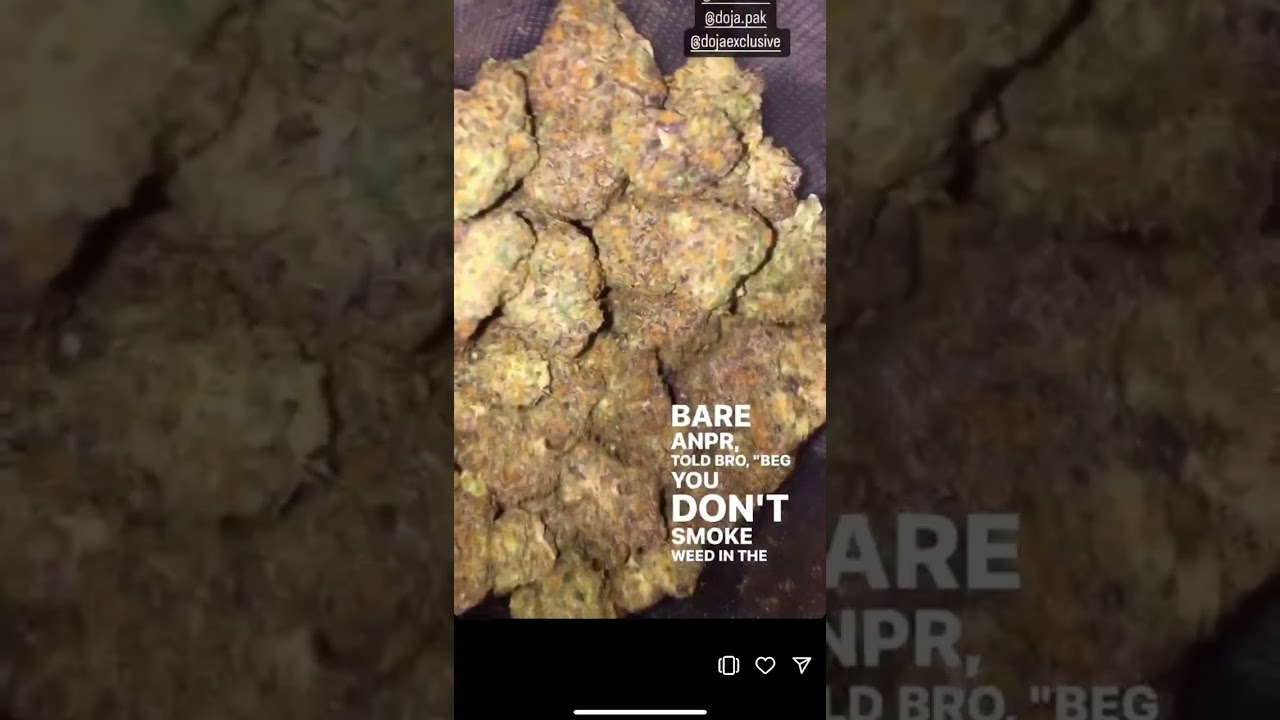 DOJA.PAK - RS11 #doja #rs11 #weed #cali #topshelf #loudpack #gas #trending #viral #youtubeshorts